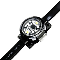Cadena de Luces LED RGBW Direccionables de 1.8W, Bombilla de Píxeles LED de 20mm, SPI/DMX512, Impermeables IP68, DC24V, Luces Puntuales LED para Paisajismo Exterior