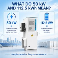 Sistema de Almacenamiento de Energía (ESS) de Litio-Ferrofosfato (LiFePO4) de Alto Voltaje, 112.5kWh, 358V, 314Ah, Configuración con Inversor Híbrido de 50kW, Refrigeración Líquida, Fuera de Red