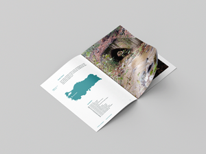 Catálogo personalizado Perfect Bound Books Offset Paper Matt Paper Fotografía, Portafolio, Obra de arte - Product Image 4