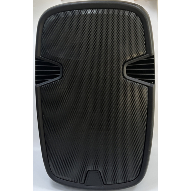 15 Inch 80W Portable System Portable Blue Tooth Speakers with Microphone Input