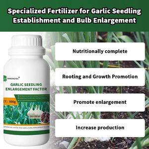 <span class=keywords><strong>Engrais</strong></span> Spécialisé pour l'Établissement des Jeunes Pousses d'Ail et l'Augmentation des Bulbes <span class=keywords><strong>Engrais</strong></span> Organique pour l'Ail - Product Image 4