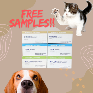 Suturas Cirúrgicas Veterinárias de Polidioxanona (<span class=keywords><strong>PDO</strong></span>) de Alta Qualidade, Comprimento de Fio de 75cm-100cm com Agulha Cortante para Cães - Product Image 6