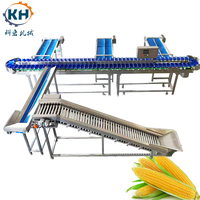 Hoge capaciteit fruit- en groentesorteerinstallatie voor blauwe bessen, tomaten, mango's, aardappelen, kiwi's, perziken en appels te koop