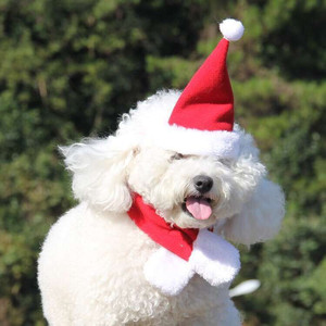 Pet Christmas Elastic Santa Hat with Scarf Collar <b>for</b> <b>Cats</b> Dogs Puppy Kitten and Small Animals - Product Image 2