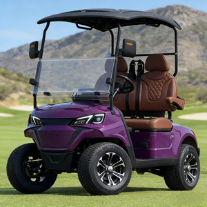 Voiturette de golf 72V au lithium pour la mobilité communautaire, véhicule de transport confortable pour passagers, voiturette de golf avec batterie au lithium 72V - Product Image 3