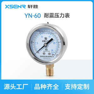 Manomètre Suzhou Xuansheng YN60 2,5 MPa en acier inoxydable anti-vibration, raccord fileté 60 mm - Product Image 2