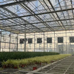 MYXL Outdoor Commercial Landwirtschaft 10mm PC Gewächshaus Polycarbonat für Pflanzen