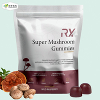 Gummies aux champignons certifiées GMP sous marque privée avec Crinière de lion, Reishi et Cordyceps pour l'énergie cérébrale et le soutien de l'humeur – 60 unités