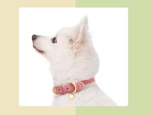 Mejor venta Durable al aire libre diario ajustable cuero de vaca y algodón correas grabadas accesorios para mascotas Gatos Perros <span class=keywords><strong>Collar</strong></span> de lujo - Product Image 5