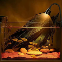 Boîte à lumière moderne pour aquarium, plantes aquatiques, trois couleurs, 3W, spectre complet, éclairage encastré, gradation, étanche
