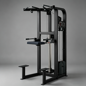 Machine d'entraînement à tractions certifiée <span class=keywords><strong>CE</strong></span> ISO, appareil de musculation verticale avec support de personnalisation OEM ODM - Product Image 1