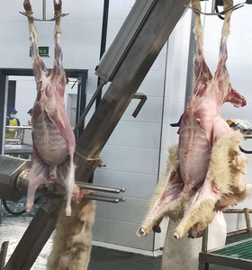 Línea de Matadero <span class=keywords><strong>Halal</strong></span> para 1000-3000 Ovejas por Día, Matadero de Corderos y Cabras, Procesamiento de Carne de Cordero y Cordero, Cortadora de Carnicería, Riel Transportador Motorizado - Product Image 4