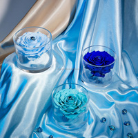 Boîte acrylique bricolage bonsaï éternel fleurs roses durables fleurs roses immortelles conservées