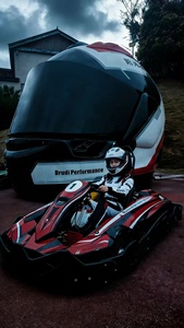 El Más Reciente <span class=keywords><strong>Precio</strong></span> Económico de Fábrica, Go Kart/<span class=keywords><strong>Karting</strong></span> de Carreras de Alta Velocidad y Buena Calidad de 200cc/270cc/390cc y 4 Tiempos para Adultos/Niños - Product Image 2