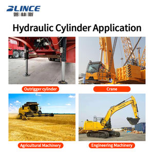 Cilindri Idraulici a Doppio Effetto per Stabilizzatori, Gambe di Supporto, Pompe per Calcestruzzo, Escavatori RC e Gru - Product Image 4