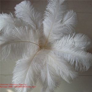 65-70cm pennacchio di struzzo bianco grandi <span class=keywords><strong>piume</strong></span> Decorative <span class=keywords><strong>piume</strong></span> di struzzo SA di alta qualità per la decorazione di carnevale del vaso della casa del Festival - Product Image 4