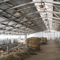 Poulailler préfabriqué moderne avec murs isolés et ventilation du toit, idéal pour l'élevage avicole commercial