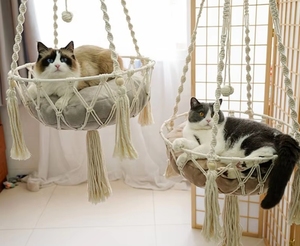 Hamaca Colgante <span class=keywords><strong>para</strong></span> Gatos de Macramé Tejida a Mano Estilo Boho, Cama Colgante de <span class=keywords><strong>Cuerda</strong></span> de Algodón, Columpio <span class=keywords><strong>para</strong></span> Mascotas, Percha <span class=keywords><strong>para</strong></span> Ventana de Gatos con Cojín de Terciopelo y Pelota de Juguete - Product Image 2