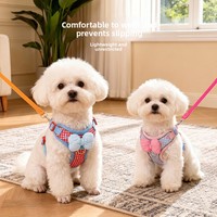 Harness Tali Anjing Poliester Baru yang Lucu dengan Hiasan Pita, Bernapas, untuk Jalan-Jalan di Luar Ruangan, Strip Reflektif Malam Hari, Anti-Hilang