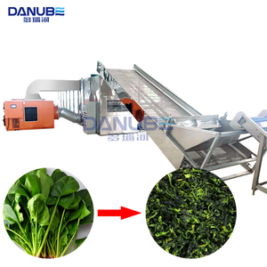 Global Top-seller Mesh Belt Dryer Vegetable Drying Equipment Spinach Cleaning and Bleaching Drying Processing Line - Product Image 1