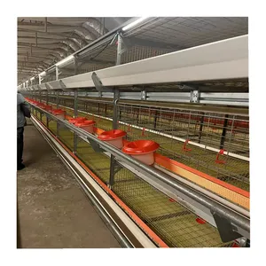 Chinese Factory Produces Farming Equipment H Type Automatic System Battery Broiler Chicken Cage