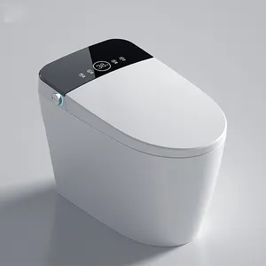 Nouveau design de toilettes japonaises, séchage à l'air chaud, bidet automatique, toilettes intelligentes en une pièce