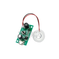 Module d'atomisation USB pour mini-humidificateur, kit carte de commande PCBA, pulvérisateur à forte production de brume 5V