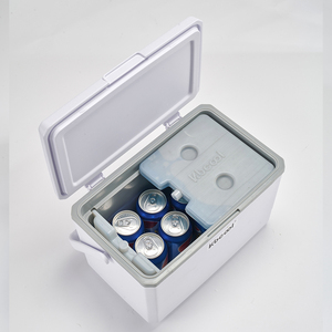 Glacière 9L pour 15 canettes, glacière portable en plastique rigide pour le camping en plein air, cadeau promotionnel d'entreprise, glacière avec logo personnalisé - Product Image 3