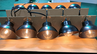 Pour UL 120V E12 Edison G40 Ampoule LED Lampe d'éclairage rétro avec filament IP65 Option d'éclairage moderne et élégant