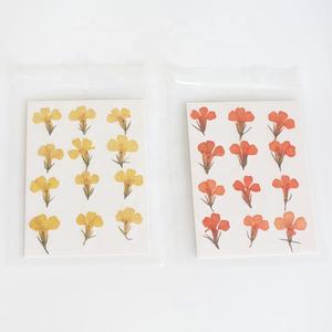 M003 coque de téléphone DIY préservée vraie <span class=keywords><strong>fleur</strong></span> séchée pressée résine Nail Art bijoux cadre <span class=keywords><strong>Lobelia</strong></span> petites fleurs séchées <span class=keywords><strong>fleur</strong></span> naturelle - Product Image 6