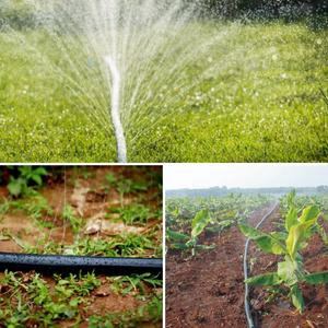 <span class=keywords><strong>Tuyau</strong></span> <span class=keywords><strong>de</strong></span> pluie micro efficace d'irrigation fiable d'agriculture du diamètre <span class=keywords><strong>25mm</strong></span> pour divers projets <span class=keywords><strong>de</strong></span> jardinage - Product Image 5