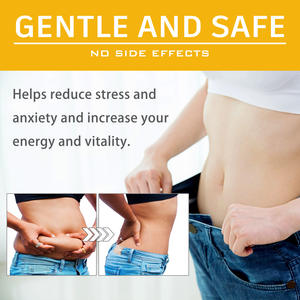 Patch minceur au venin d'abeille le plus vendu - Patch de modelage corporel pour resserrer et sculpter les courbes de la peau - Product Image 3