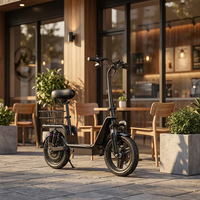 Vélo électrique pliable fiable pour la ville, 20 pouces, pneus larges 4.0, moteur 750W, batterie 48V 15Ah avec écran LCD intelligent