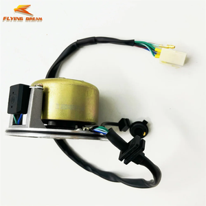 <span class=keywords><strong>Magneto</strong></span> para Motocicleta de Cross DT190 de 4 Válvulas, Motor Anima Daytona 190cc FSM, 100% Original para Muestra - Product Image 4