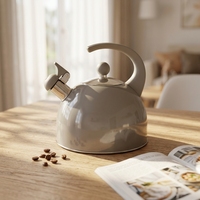 Bouilloire sifflante en acier inoxydable gris 2,5 L, fond à induction, écologique, compatible lave-vaisselle, design moderne et classique, capacité 3 L