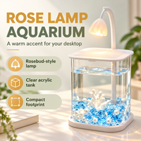 Aquarium Lampe Rose avec coins arrondis et panneaux de visualisation clairs, mini aquarium de table