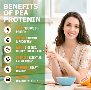 Poudre de protéines de pois végétales biologiques pour une alimentation saine quotidienne - Product Image 6