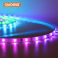Bande lumineuse LED RGB solaire programmable pour jardin, IP65, 12V, 100mm, avec bouton de découpe et télécommande, IC WF1903
