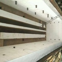 Módulos de Fibra Cerámica al por Mayor con Anclajes para Hornos Industriales