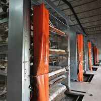 Cage à poulets de chair entièrement automatique à 3/4 niveaux de type H, galvanisée à chaud, grande capacité 10 000 oiseaux, équipement d'élevage avicole