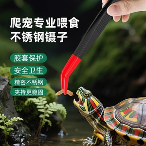 Baolian Feeding Tweezers Stainless Steel Non Slip Straight Head Reptile Specific Tool - Product Image 1