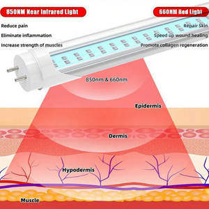 Terapia de luz roja para lesiones de rodilla 660nm + 850nm Reemplazo de <span class=keywords><strong>tubo</strong></span> de luz roja de longitud de onda personalizada para masaje de cama de terapia de luz roja - Product Image 4