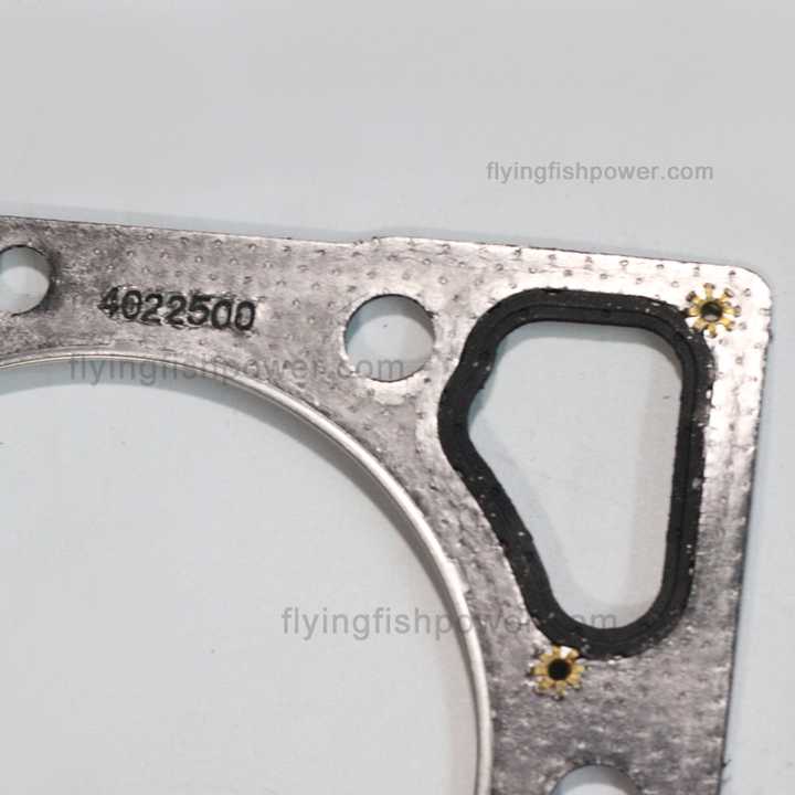 M11 ISM11 QSM11 Engine Cylinder Head Gasket 3044580 2864080 
