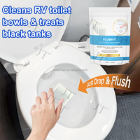 Désodorisant pour réservoir de vidange, nettoyant pour toilettes de camping-car, traitement pour toilettes septiques de camping-car