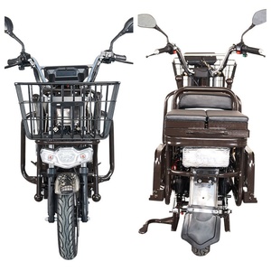 Scooter électrique cargo CKD <span class=keywords><strong>SKD</strong></span> <span class=keywords><strong>16</strong></span> pouces 500W, vitesse maximale <span class=keywords><strong>30</strong></span>-50 km/h, autonomie maximale 70 km, avec moteur à moyeu arrière électronique pour la livraison - Product Image 3
