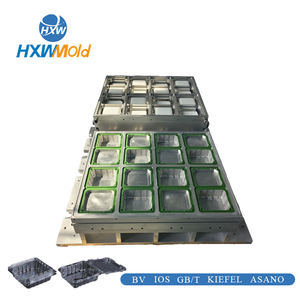 Fabricant de moules à blister professionnel personnalisé privé moule à fruits de thermoformage multi-stations - Product Image 3