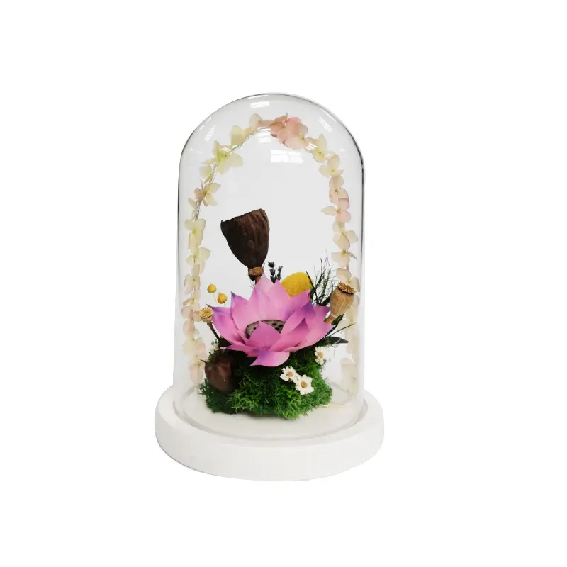 Fleurs de Lotus séchées, 24 pièces, plantes décoratives, dans une boîte cadeau, vente en gros