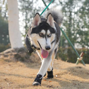 Jian Bo 1 Классическая противодежечная мягкая подошва зимняя теплая Защитная Обувь для собак Нескользящая Водонепроницаемая уличная простая обувь для домашних животных несколько - Product Image 4