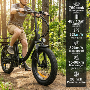 Personalizado Directamente de Fábrica &amp;   Bicicleta Eléctrica Multifuncional de Carga, 48V 750W Pico, Neumáticos Anchos, Portaequipajes Trasero, Freno de Disco - Product Image 6