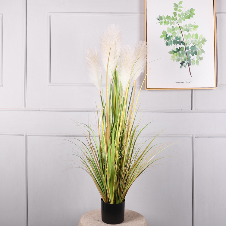 Planta en maceta de 1,2 metros, gris y blanca.